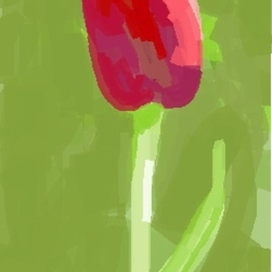Тюльпан