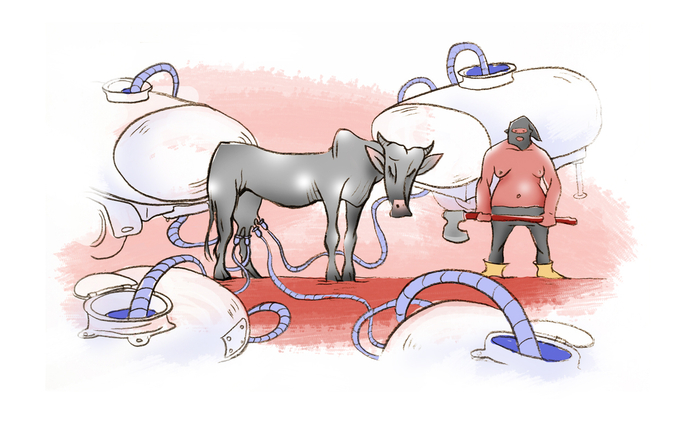 иллюстрация к статье