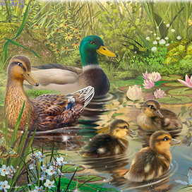 птичий детский сад