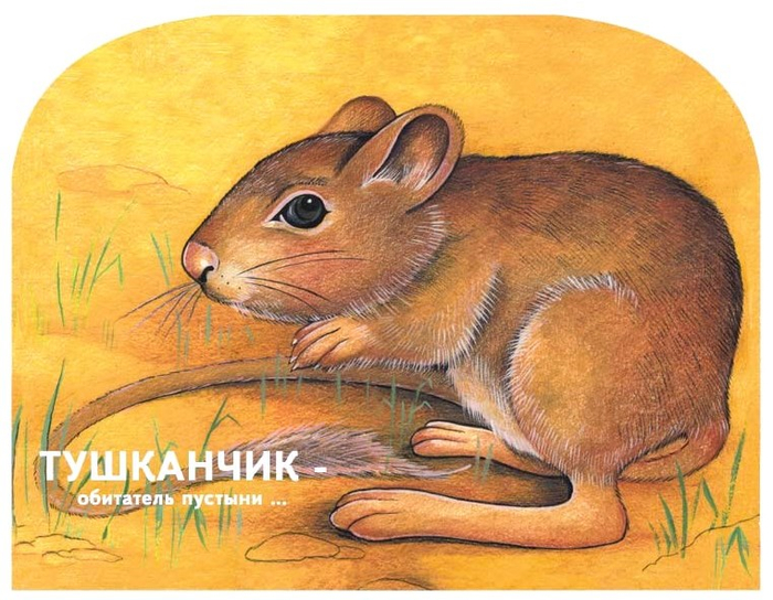 Тушканчик