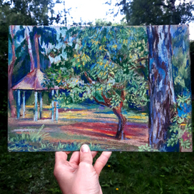 Летние наброски