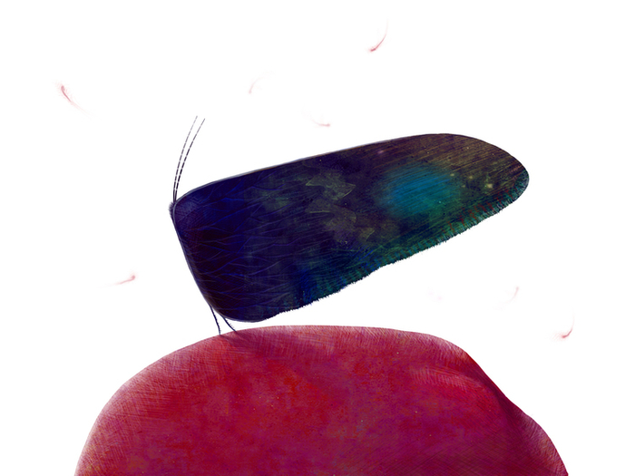 Александр Пушкин \ Сказка о мертвой царевне и о семи богатырях \ заставка