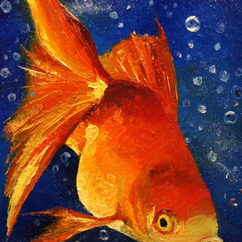 Золотая рыбка