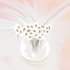 Букет цветов