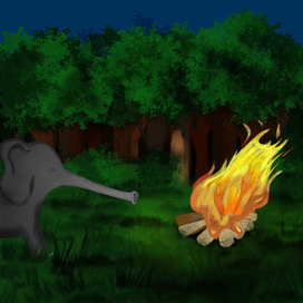 Ночной костёр