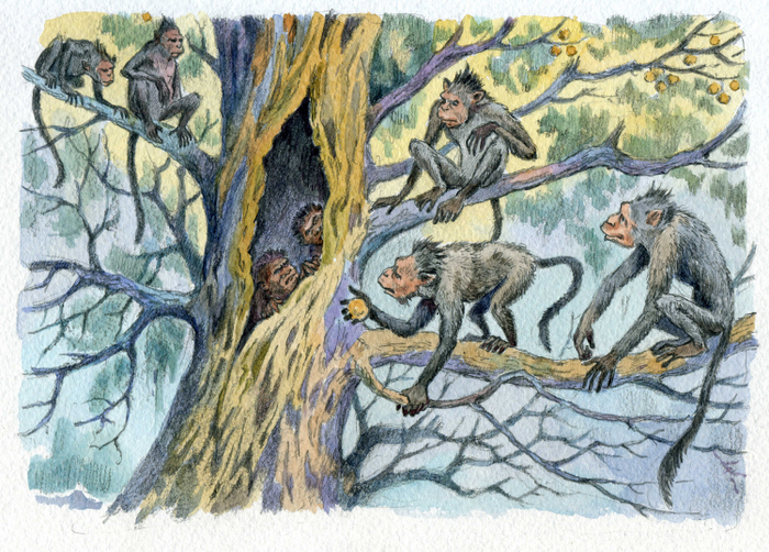 "Рам и Гау" 7