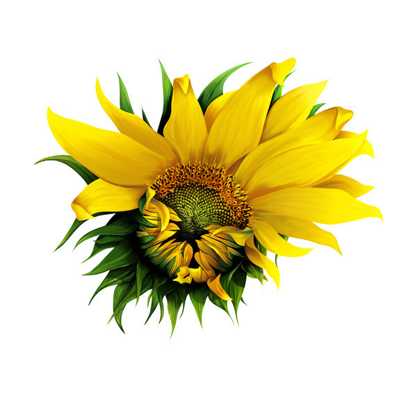 Здравствуй, Солнышко на палке