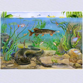 как чуть не погибла плотвичка