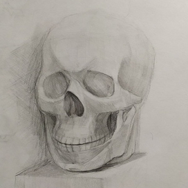 Череп. Рисунок а2