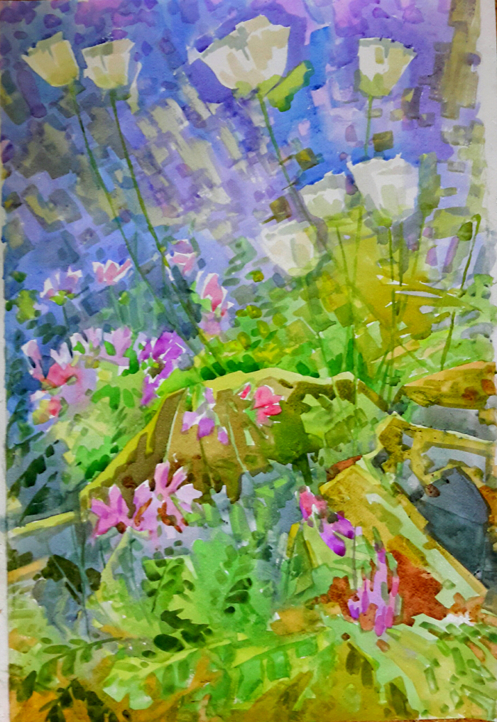 Июнь. Цветень.