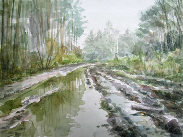 Лесная дорога после летнего ливня.