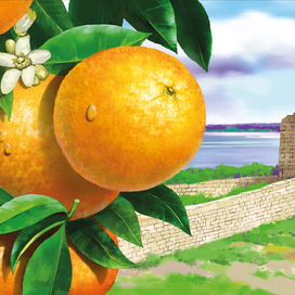 Без названия