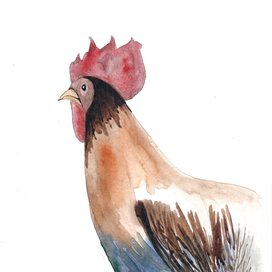 Акварельный рисунок