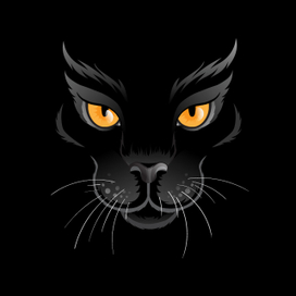 Сафари. Пантера.