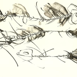 Золотые рыбки