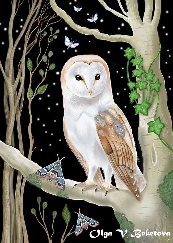 Ночной страж