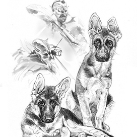 Боевые урук-хаи Саурона (маскировка) 