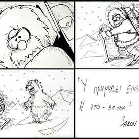 Закон полярника