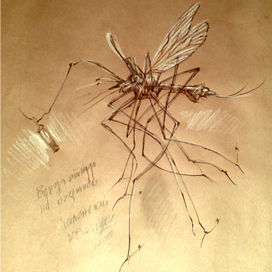 Вдруг откуда ни возьмись, маленький комарик...)