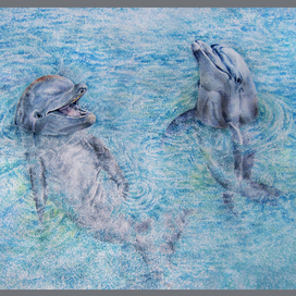 Dolphins