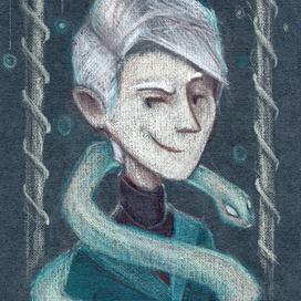 Серия иллюстраций по вселенной Гарри Поттера