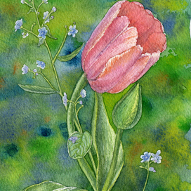 Тюльпан. Фрагмент открытки. 