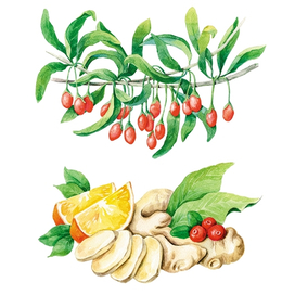 Иллюстрации. Ягоды годжи, Имбирь с апельсином