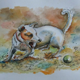 Собачья радость