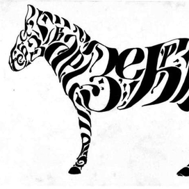 зебра