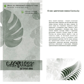 Фрагмент брошюры 