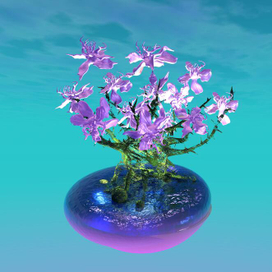 гидропоника