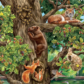 На дубе Том. Интерактивная карта