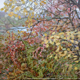 Приближение зимы избавляет от надежд и иллюзий. (пзионии 2)