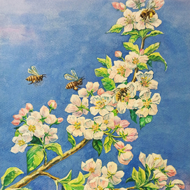 Ветка яблони