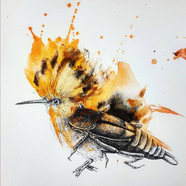 Симбиоз птицы и того, что она ест