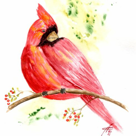 Красная птица