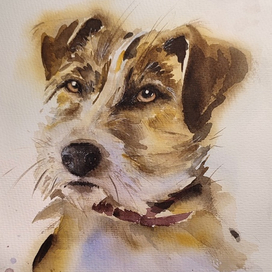 Милый друг. Собака