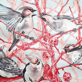 Свиристели