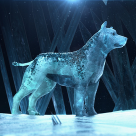 ice dog