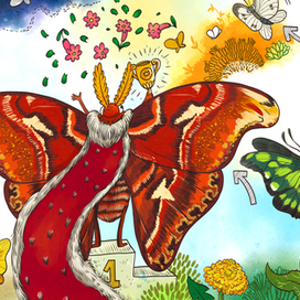 Такие разные бабочки