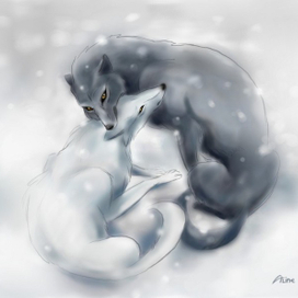 Снежные волки