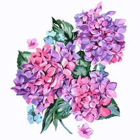 букет сирени