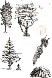 Разработка деревьев для макета 2