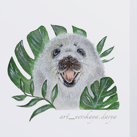 Иллюстрация на морскую тематику «Нерпа и монстера»