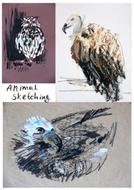 Наброски животных