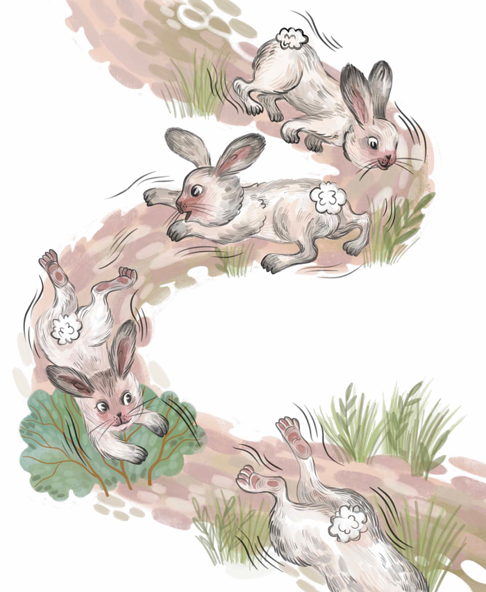 Беатрис Поттер. Кролик Питер. Издательство Wunderhause