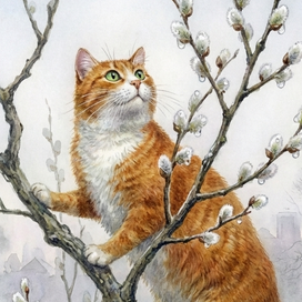 Коты и пушистая верба