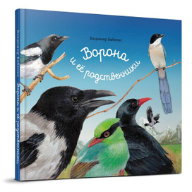 Обложка моей первой  книги. 