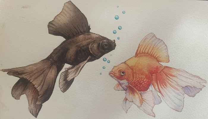 Рыбов показывают