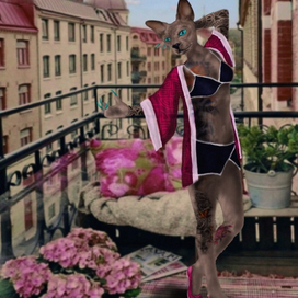 На балконе в Париже